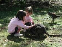 Urimbirra Wildlife Park - Accommodation Melbourne 1