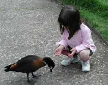 Urimbirra Wildlife Park - Accommodation Melbourne 3