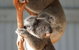Waterways Wildlife Park - thumb 1