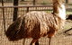 Waterways Wildlife Park - thumb 2