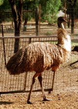 Waterways Wildlife Park - Accommodation Melbourne 2