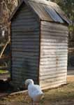 Wagga Wagga Zoo - Accommodation Melbourne 2