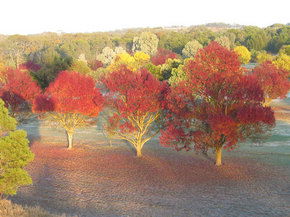 Balloon Adventures Barossa Valley - Accommodation Melbourne 3