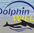Dolphin Wild - Accommodation Melbourne