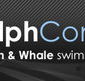 Dolphcom - Dolphin  Whale Swimming Adventures - Accommodation Melbourne