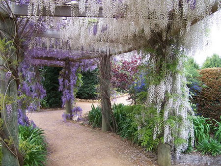 Abingdon Miniature Village - Accommodation Melbourne 0