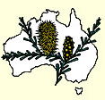 Australian National Botanic Gardens - Accommodation Melbourne