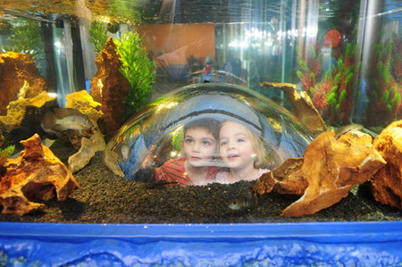 Scitech - Accommodation Melbourne 3