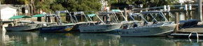 Brooklyn Central Boat Hire & General Store - Accommodation Melbourne 1