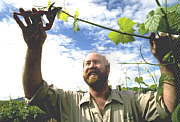Barossa Experience Tours - Accommodation Melbourne 0