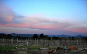 Buller View Wines - Accommodation Melbourne 1