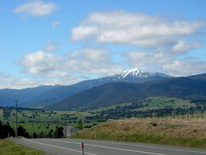 Buller View Wines - Accommodation Melbourne 2