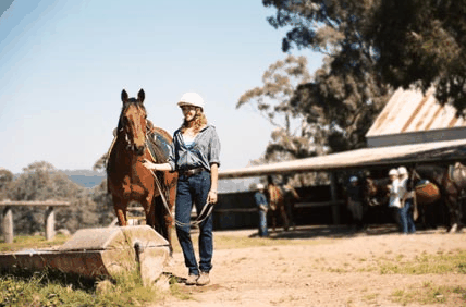 Watsons Trail Rides - Accommodation Melbourne