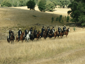 McCormacks Mountain Valley Trail Rides - Accommodation Melbourne