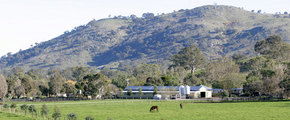 Blue Gum Farm - Accommodation Melbourne 1