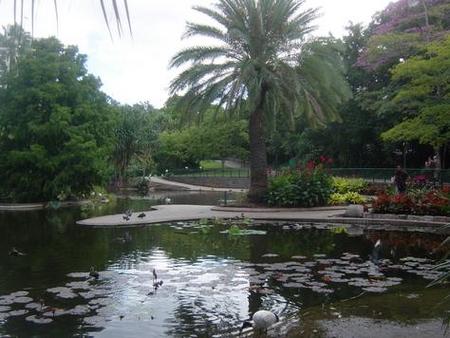 Brisbane City Botanic Gardens - Accommodation Melbourne 0