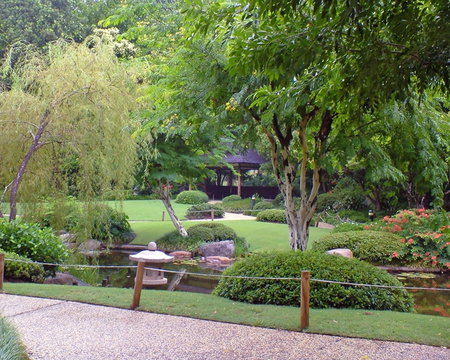 Brisbane City Botanic Gardens - Accommodation Melbourne 1