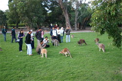 Caversham Wildlife Park - Accommodation Melbourne 2
