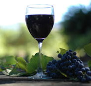 Lion Mill Vineyards - Accommodation Melbourne