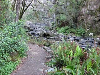 Stevensons Falls - Accommodation Melbourne 1