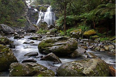 Stevensons Falls - Accommodation Melbourne 2