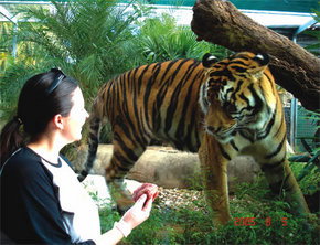 Crocodylus Park - Accommodation Melbourne 1