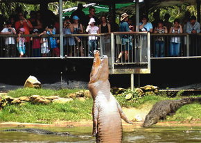 Crocodylus Park - Accommodation Melbourne 2