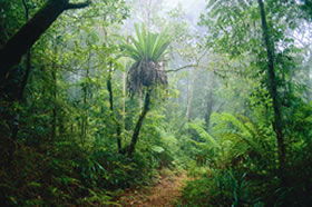 Ferny Glen QLD Accommodation Melbourne
