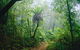 Lamington National Park And OReillys - thumb 0