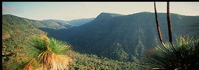 Lamington National Park And OReillys - Accommodation Melbourne 1