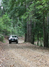 Lamington National Park And OReillys - Accommodation Melbourne 2