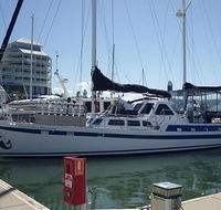 Coral Sea Dreaming Dive and Sail - Accommodation Melbourne