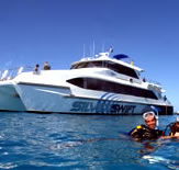 Silver Swift - Accommodation Melbourne