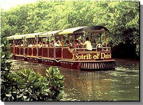 Daintree Rainforest River Trains - Accommodation Melbourne 0
