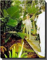 Daintree Rainforest River Trains - Accommodation Melbourne 1