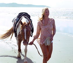 Ride The Beach - Accommodation Melbourne 3