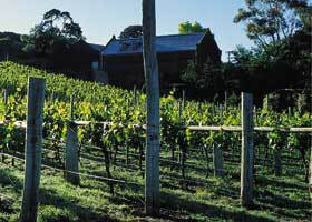 Goona Warra Vineyard - Accommodation Melbourne 1