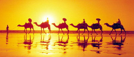 Banksia Adventures - Accommodation Melbourne 1