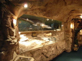 The National Opal Collection - Accommodation Melbourne 2