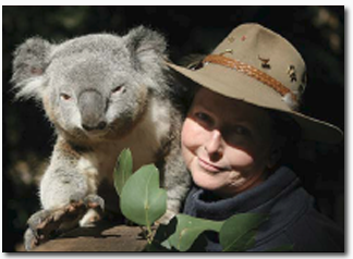 Koala Park Sanctuary - Accommodation Melbourne 2