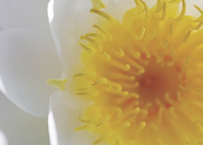 Crown Spa - Accommodation Melbourne 2