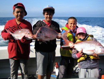 Melbourne Fishing Charters - Accommodation Melbourne 3