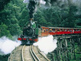 Gray Line Tours Melbourne - Accommodation Melbourne 1