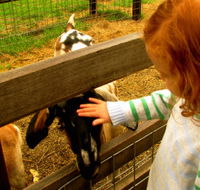 Collingwood Children's Farm - Accommodation Melbourne