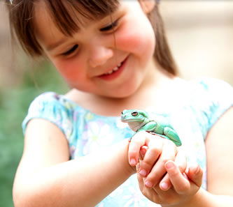 Reptile Encounters - Accommodation Melbourne 1