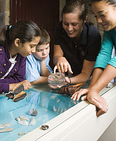 The Rocks Discovery Museum - Accommodation Melbourne 3