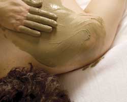 Alkaline Spa & Clinic - Accommodation Melbourne 2