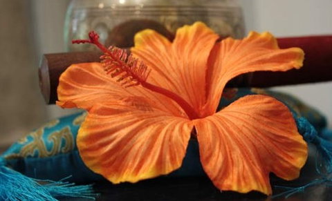Annasha Day Spa Retreat - Accommodation Melbourne 5