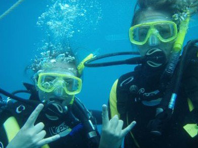 Snorkel Safari Brisbane - Accommodation Melbourne 5