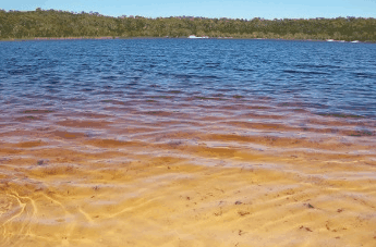 Beach Trekkers North Stradbroke Island - Accommodation Melbourne 1